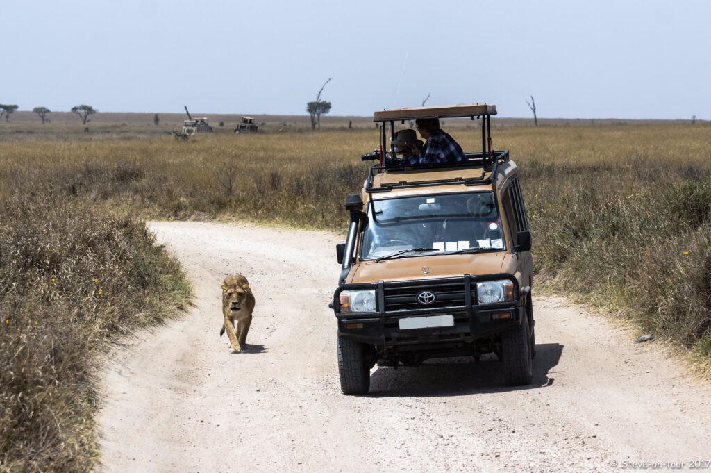 Capture the Wild 9 Days Tanzania Photo Safari