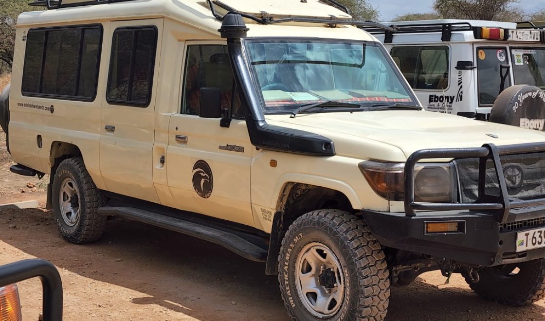 20220825_115444 (Medium)