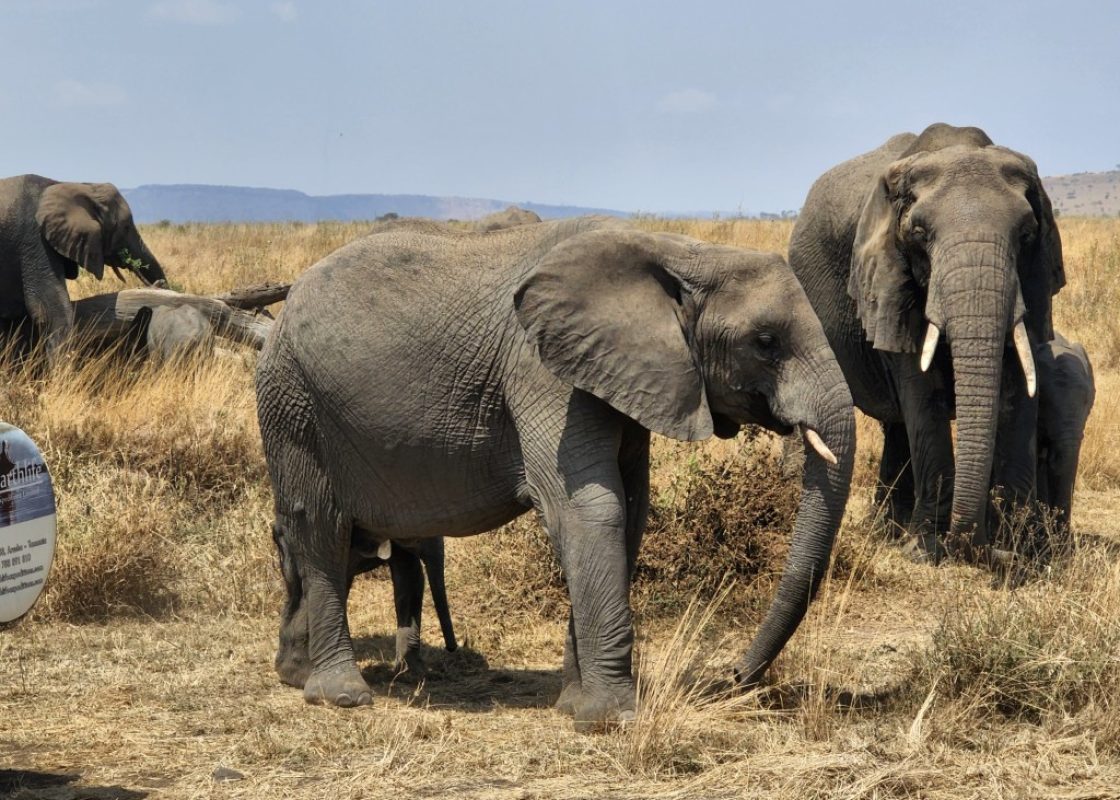 20220828_111936 (Medium)