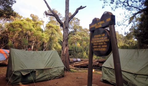 7 Days Machame Route