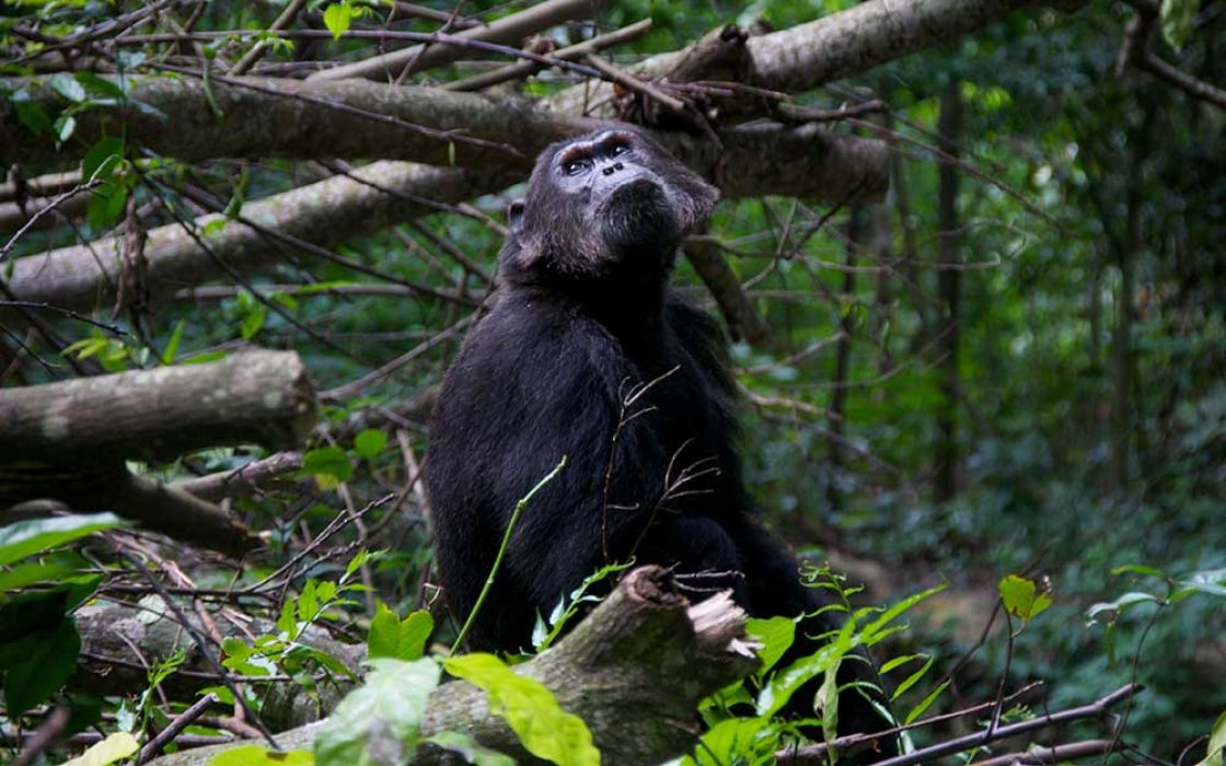 MOIZ HUSEIN PHOTOGRAPHY