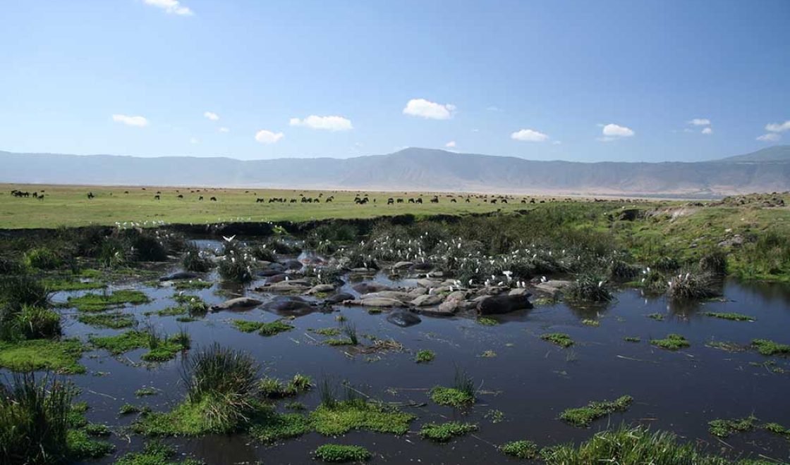 Ngorongoro 1a