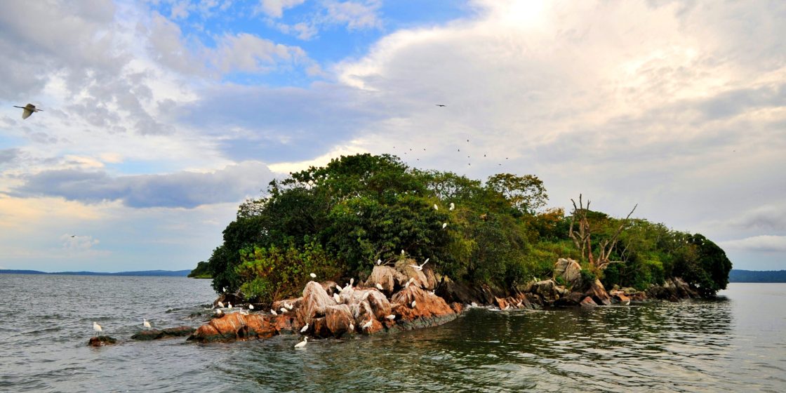Rubondo Island