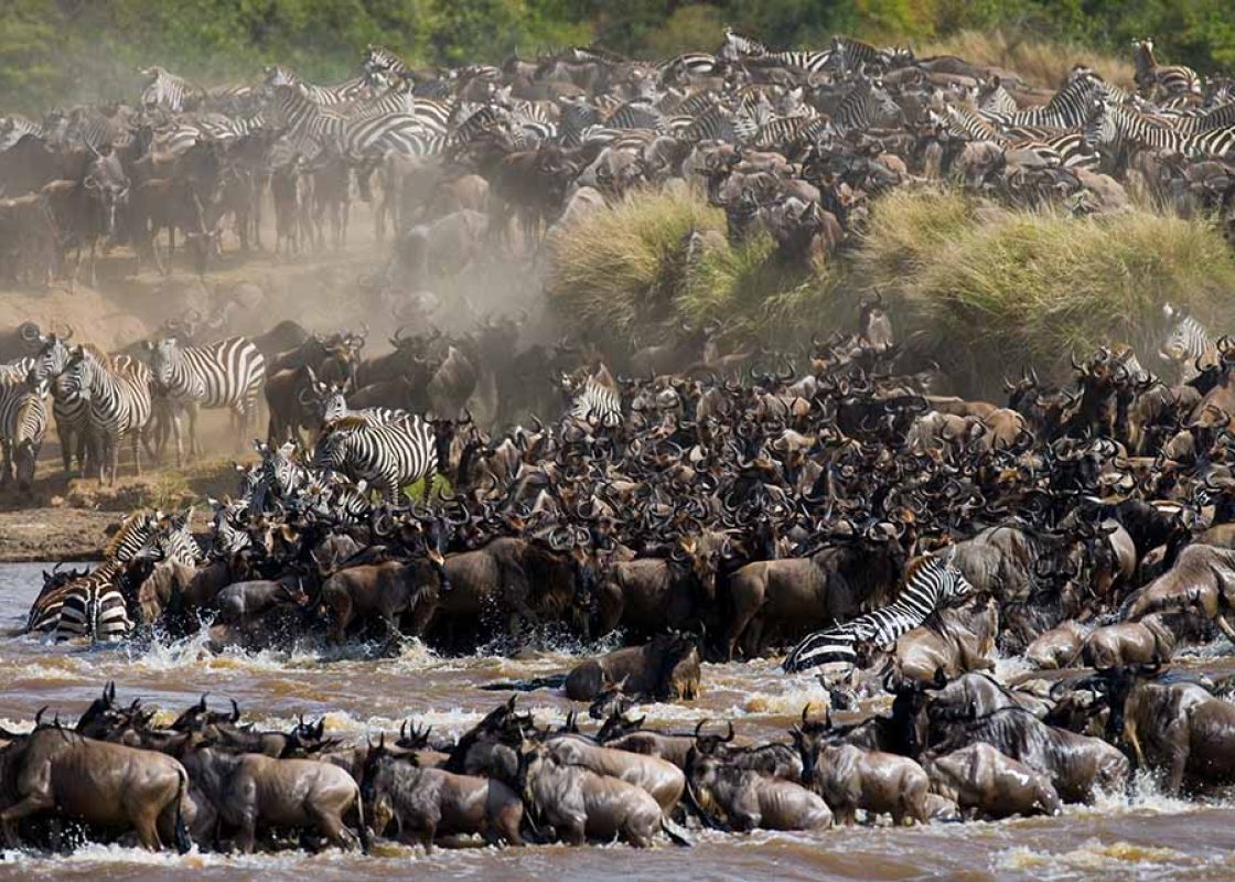 great migration 1