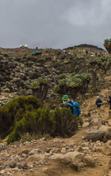 14609606 - mt kilimanjaro climbing expedition in tanzania, africa