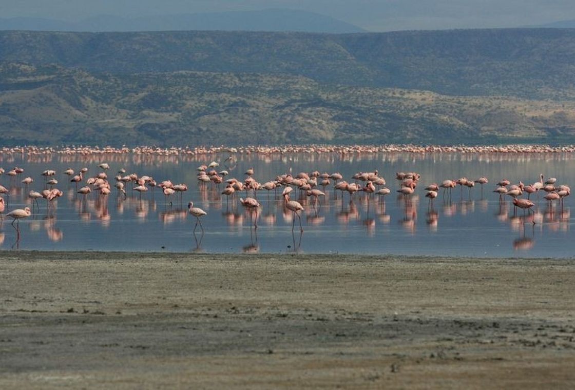 lake-natron-10[2]